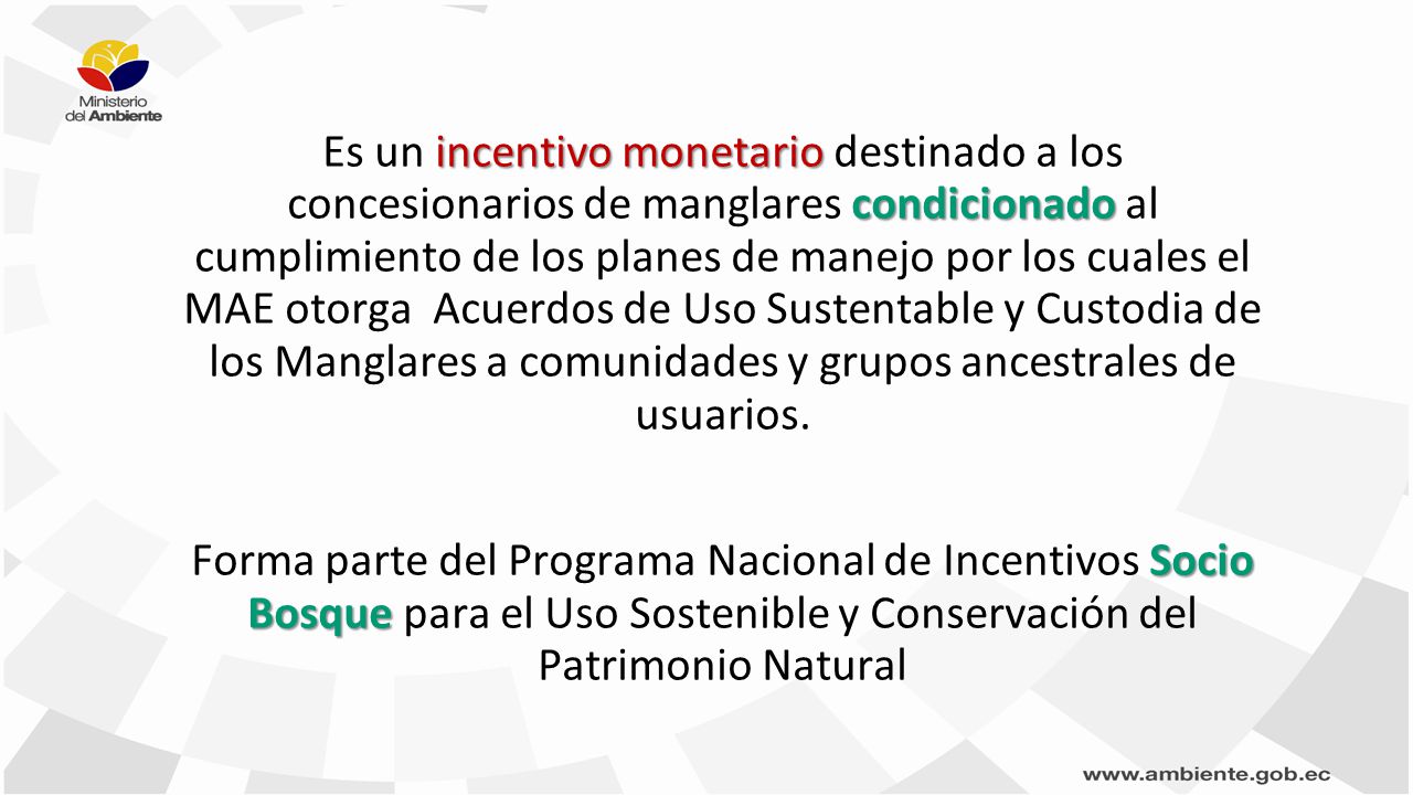 Es un incentivo monetario destinado a los concesionarios de manglares condicionado al cumplimiento de los planes de manejo por los cuales el MAE otorga Acuerdos de Uso Sustentable y Custodia de los Manglares a comunidades y grupos ancestrales de usuarios.