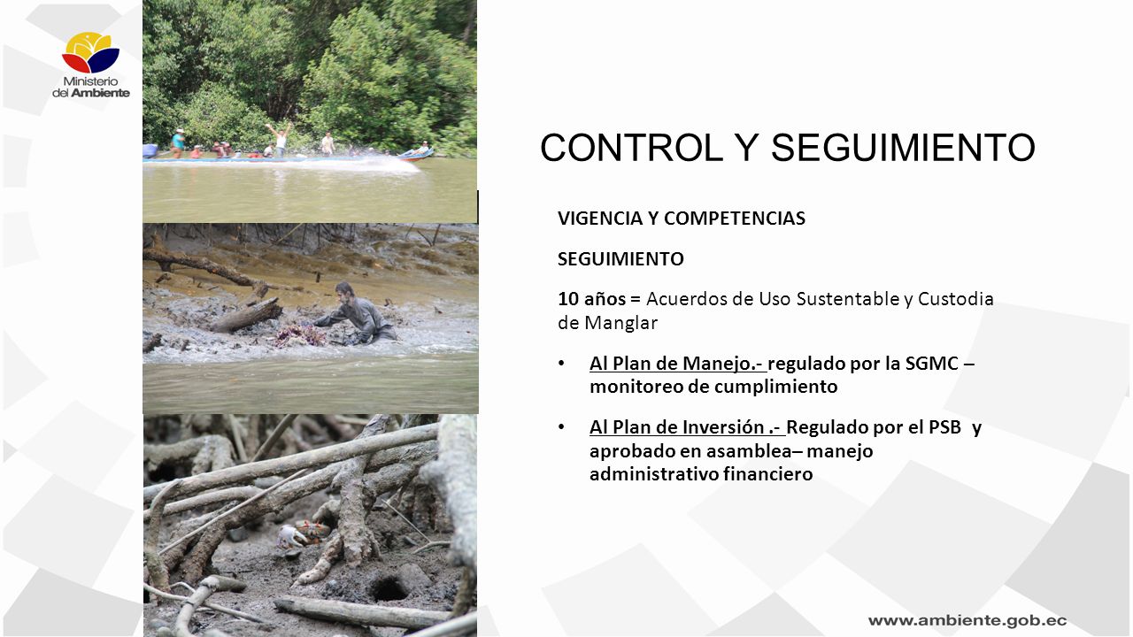 CONTROL Y SEGUIMIENTO VIGENCIA Y COMPETENCIAS SEGUIMIENTO