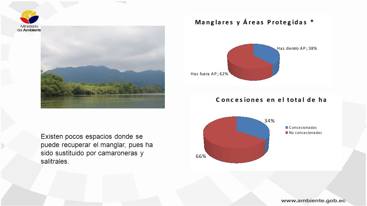 DE 1102 (Decreto Ejecutivo 1102 publicado en el Registro Oficial 243 de 28 de julio de 1999): emitir Acuerdos de uso sustentable del manglar a favor de las comunidades y grupos semestrales usuarios del manglar.