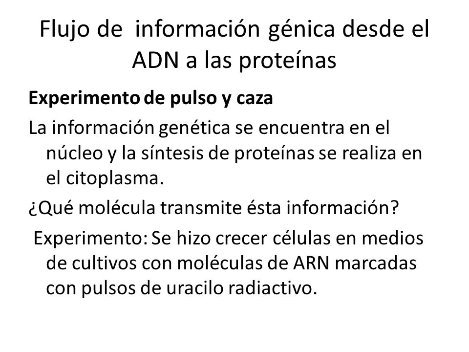 Flujo de información génica desde el ADN a las proteínas