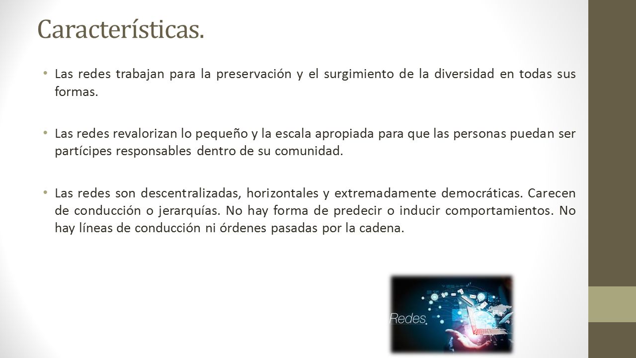 Características. Las redes trabajan para la preservación y el surgimiento de la diversidad en todas sus formas.