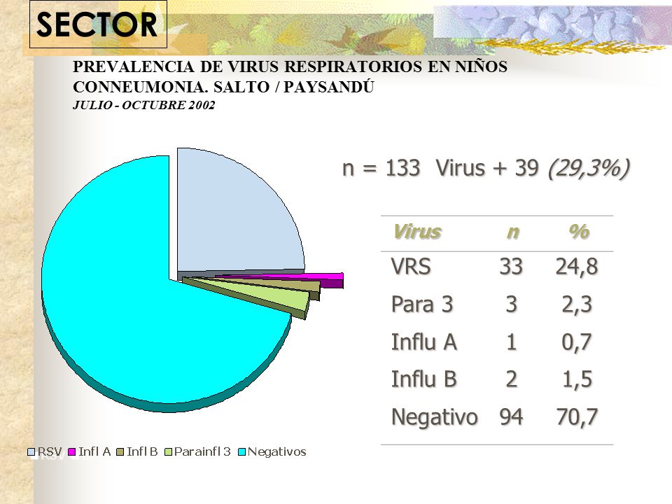 SECTOR n = 133 Virus + 39 (29,3%) VRS Para 3 Influ A Influ B Negativo