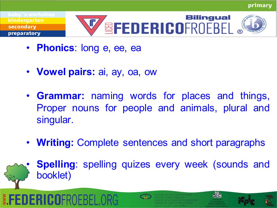 Phonics: long e, ee, ea Vowel pairs: ai, ay, oa, ow.