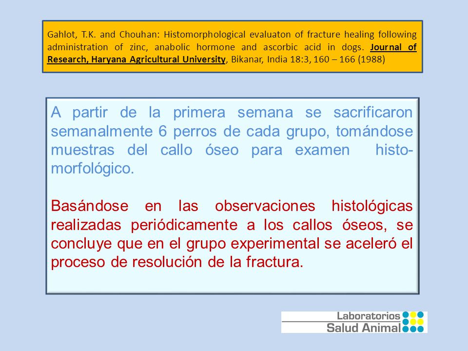 Gahlot, T.K. and Chouhan: Histomorphological evaluaton of fracture healing following administration of zinc, anabolic hormone and ascorbic acid in dogs. Journal of Research, Haryana Agricultural University, Bikanar, India 18:3, 160 – 166 (1988)