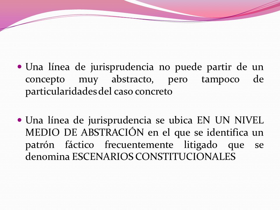 Una línea de jurisprudencia no puede partir de un concepto muy abstracto, pero tampoco de particularidades del caso concreto