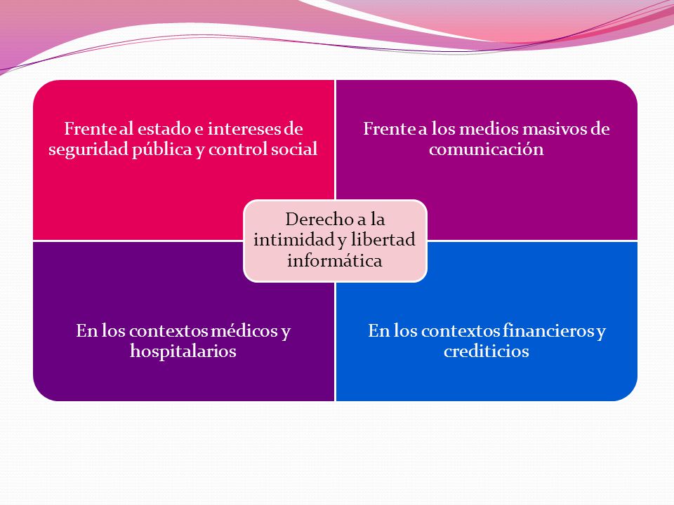 Derecho a la intimidad y libertad informática