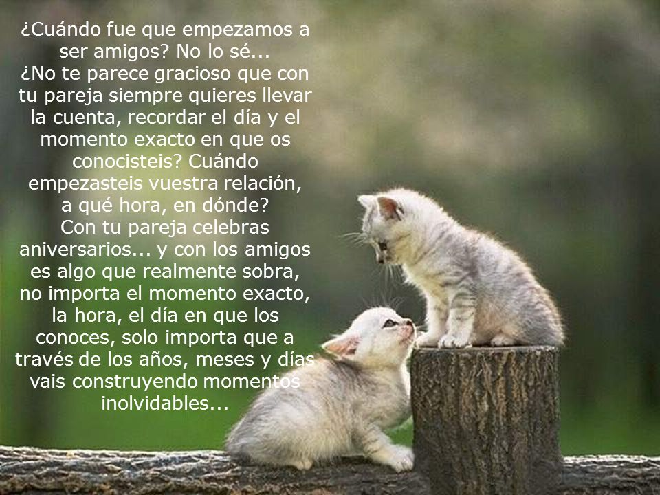 ¿Cuándo fue que empezamos a ser amigos. No lo sé