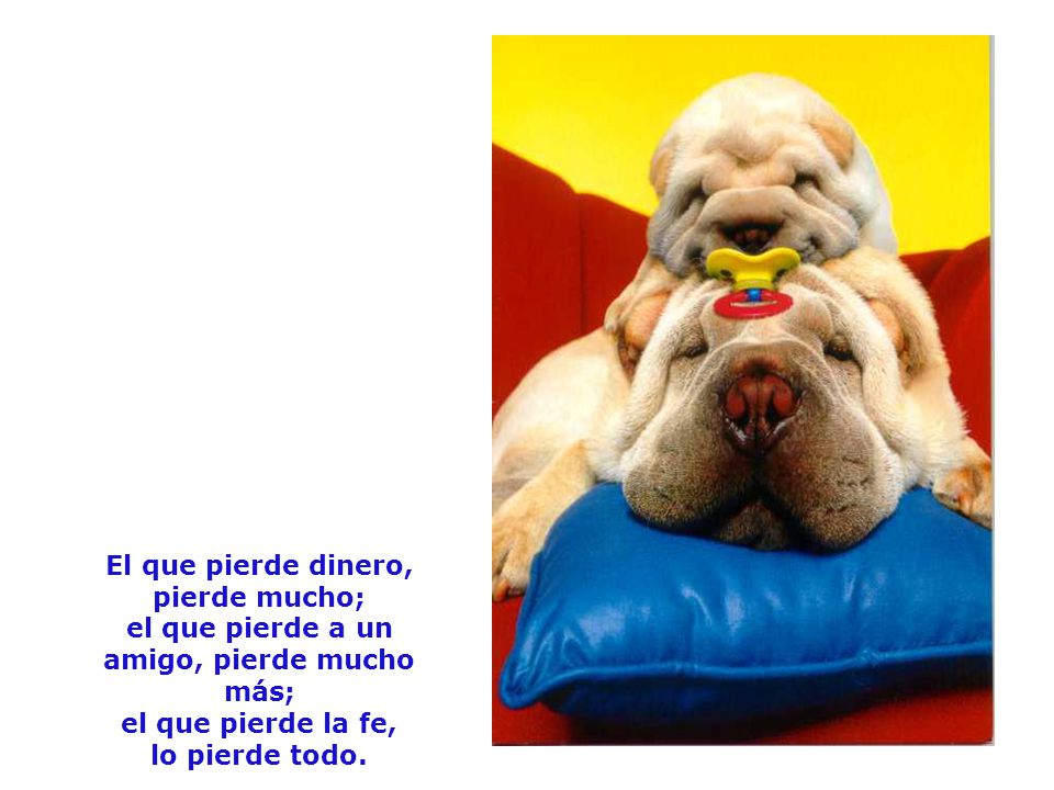 El que pierde dinero, pierde mucho; el que pierde a un amigo, pierde mucho más; el que pierde la fe, lo pierde todo.