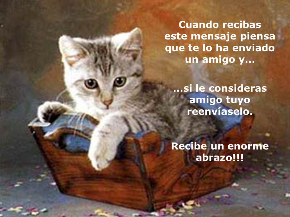 Cuando recibas este mensaje piensa que te lo ha enviado un amigo y…