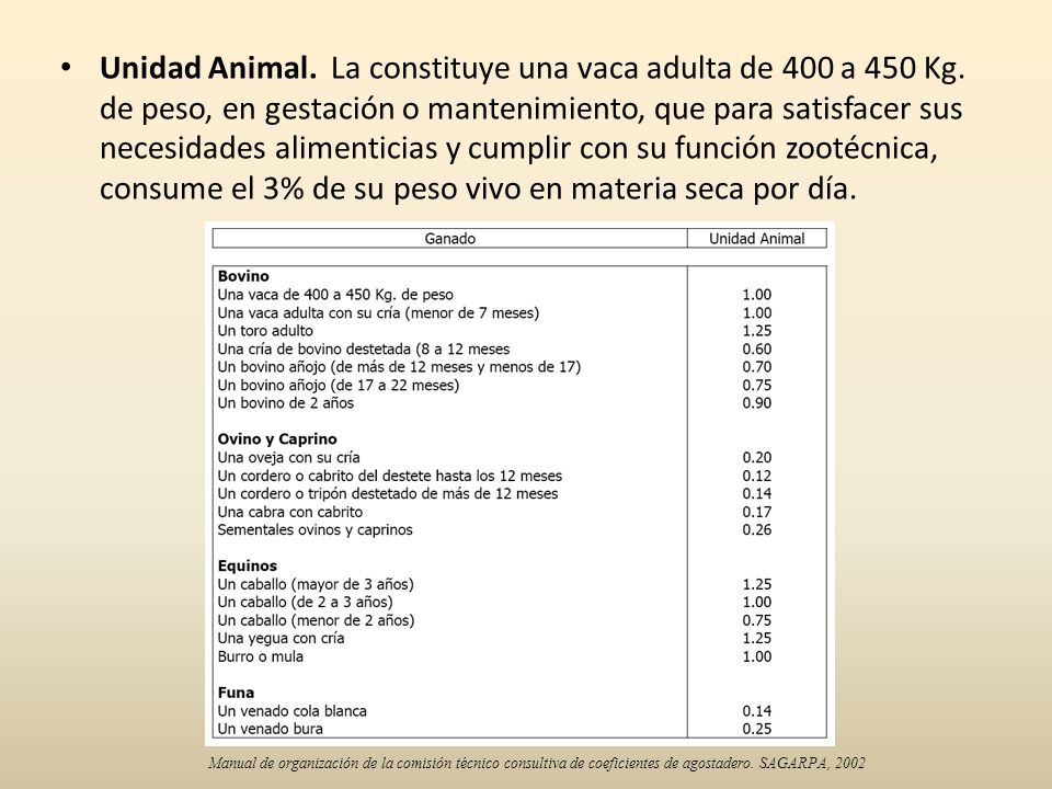 Unidad Animal. La constituye una vaca adulta de 400 a 450 Kg
