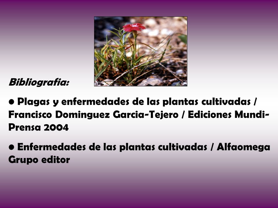 Bibliografia: Plagas y enfermedades de las plantas cultivadas / Francisco Dominguez Garcia-Tejero / Ediciones Mundi-Prensa