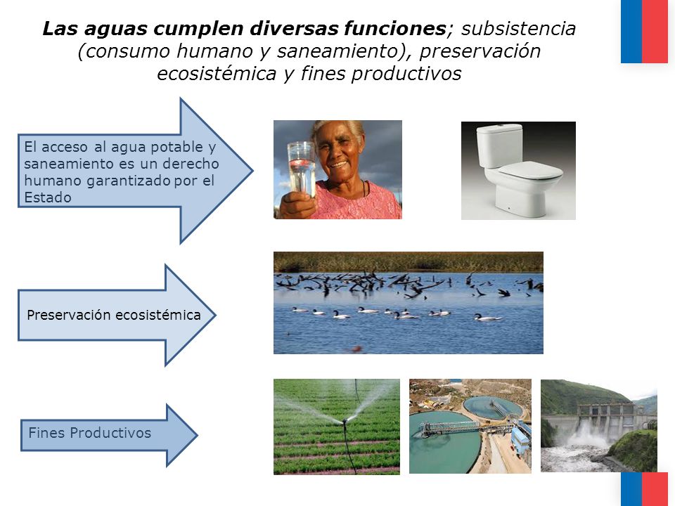 Las aguas cumplen diversas funciones; subsistencia (consumo humano y saneamiento), preservación ecosistémica y fines productivos