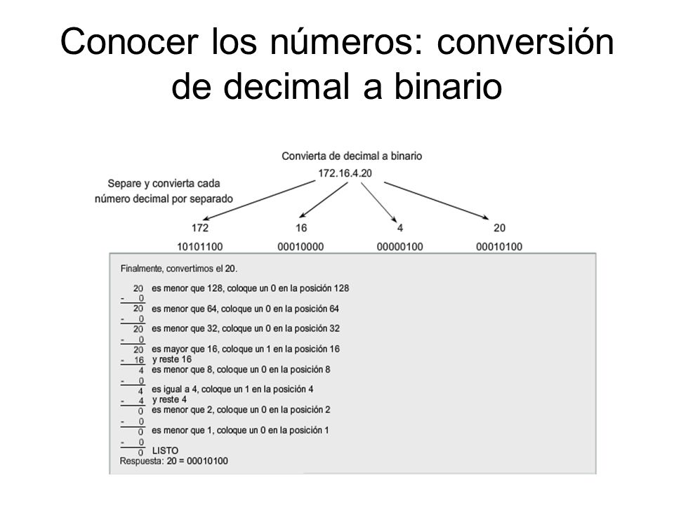 Conocer los números: conversión de decimal a binario
