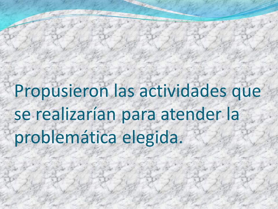 Propusieron las actividades que se realizarían para atender la problemática elegida.