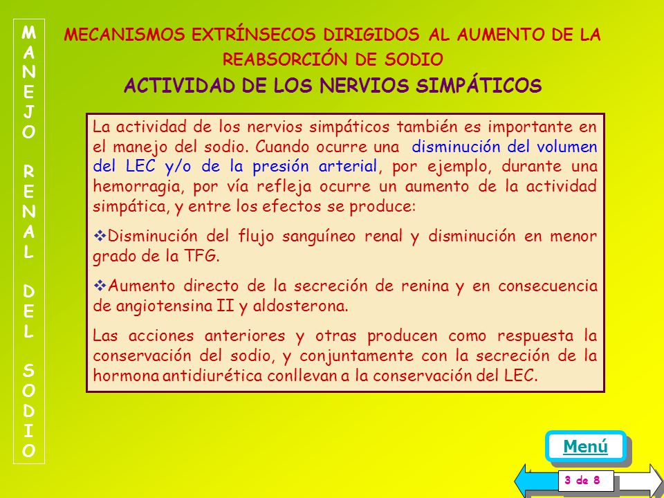 MANEJO RENAL DEL SODIO MECANISMOS EXTRÍNSECOS DIRIGIDOS AL AUMENTO DE LA REABSORCIÓN DE SODIO ACTIVIDAD DE LOS NERVIOS SIMPÁTICOS.