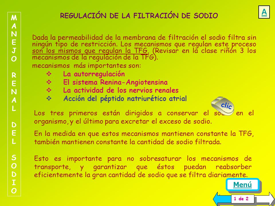 A REGULACIÓN DE LA FILTRACIÓN DE SODIO MANEJO RENAL DEL SODIO