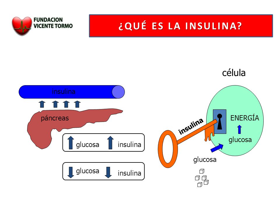 ¿QUÉ ES LA INSULINA célula insulina páncreas ENERGÍA insulina glucosa