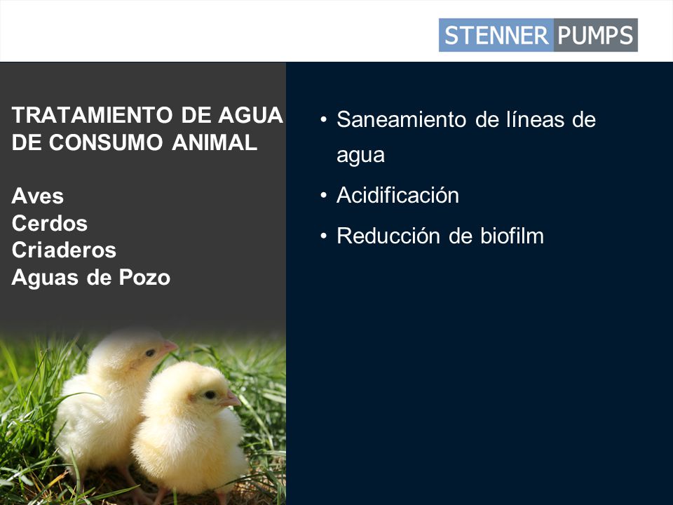 TRATAMIENTO DE AGUA DE CONSUMO ANIMAL Aves Cerdos Criaderos Aguas de Pozo