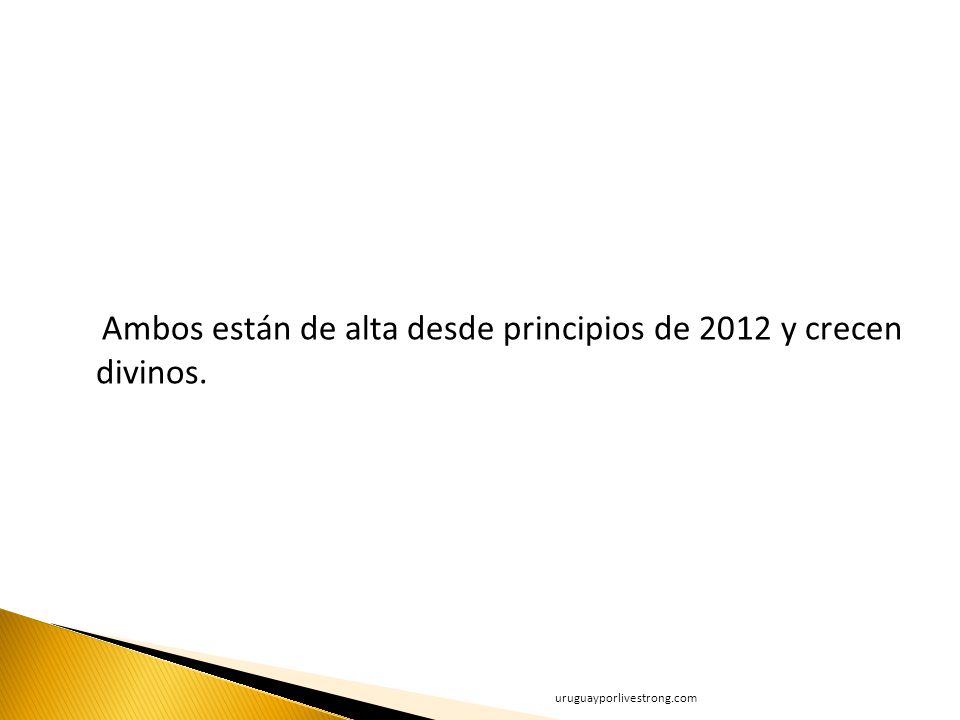Ambos están de alta desde principios de 2012 y crecen divinos.