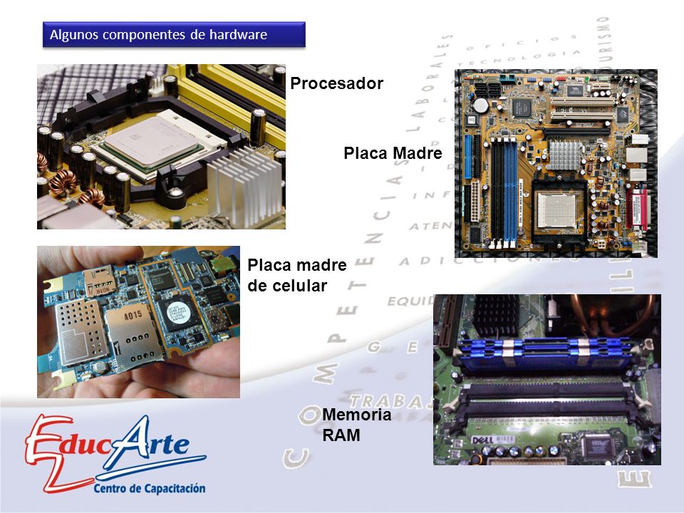 Procesador Placa Madre Placa madre de celular Memoria RAM