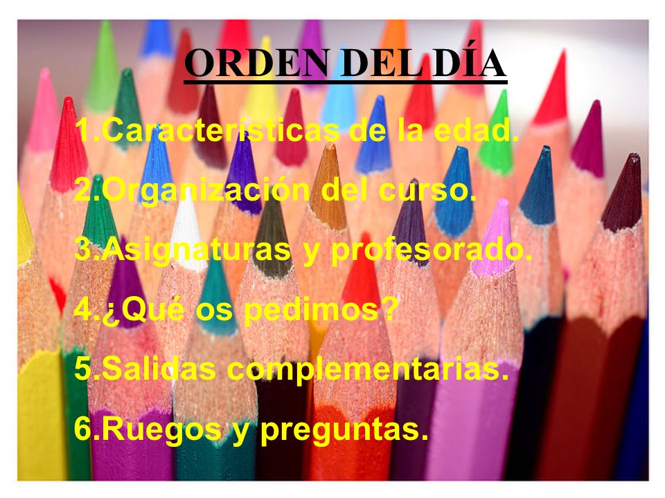 ORDEN DEL DÍA Características de la edad. Organización del curso.
