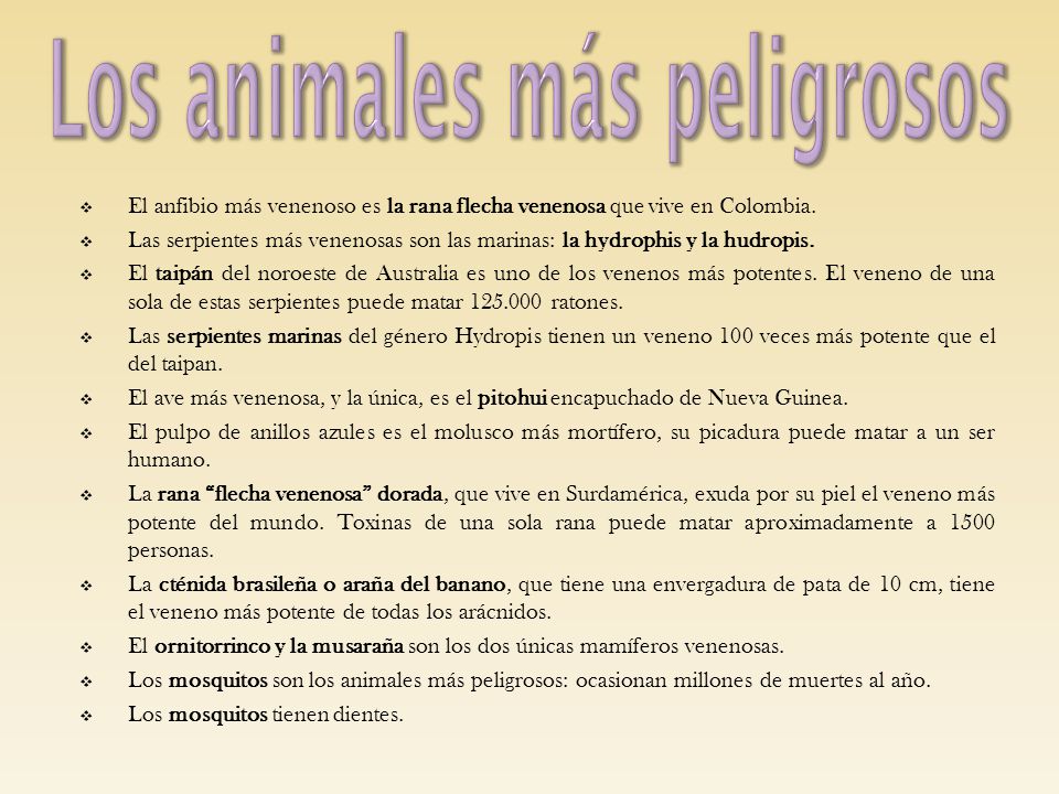 Los animales más peligrosos
