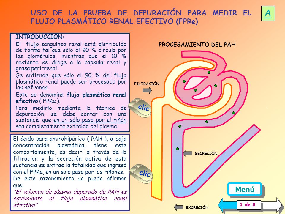 USO DE LA PRUEBA DE DEPURACIÓN PARA MEDIR EL FLUJO PLASMÁTICO RENAL EFECTIVO (FPRe)