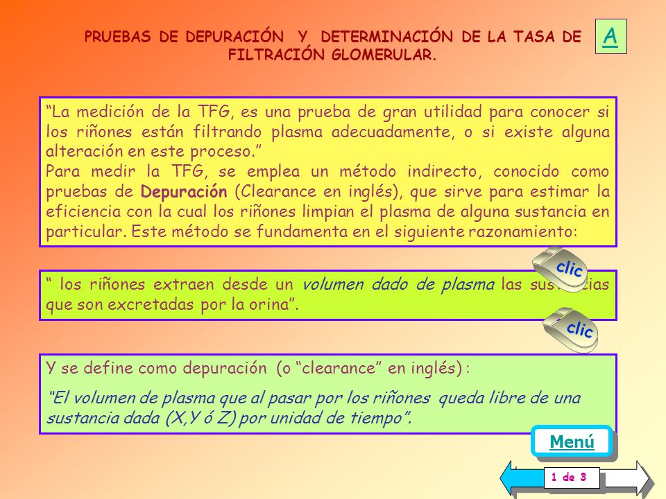 A PRUEBAS DE DEPURACIÓN Y DETERMINACIÓN DE LA TASA DE FILTRACIÓN GLOMERULAR.