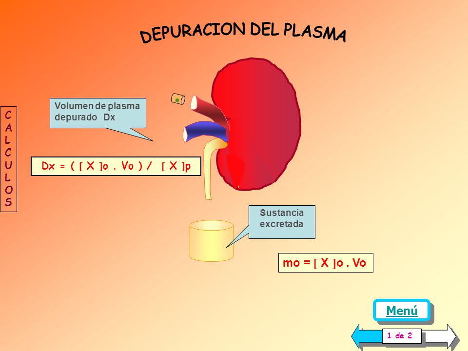 DEPURACION DEL PLASMA mo =  X o . Vo Menú CALCULOS