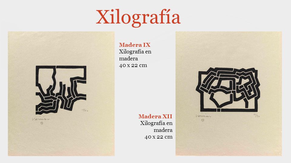 Xilografía Madera IX Xilografía en madera 40 x 22 cm Madera XII