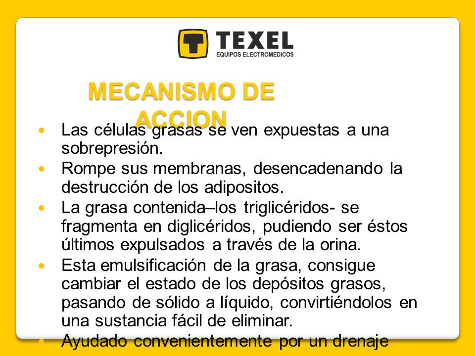 MECANISMO DE ACCION Las células grasas se ven expuestas a una sobrepresión. Rompe sus membranas, desencadenando la destrucción de los adipositos.