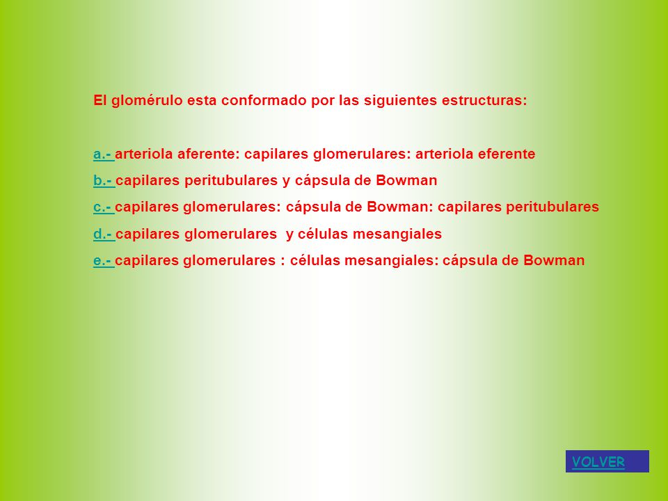 El glomérulo esta conformado por las siguientes estructuras: