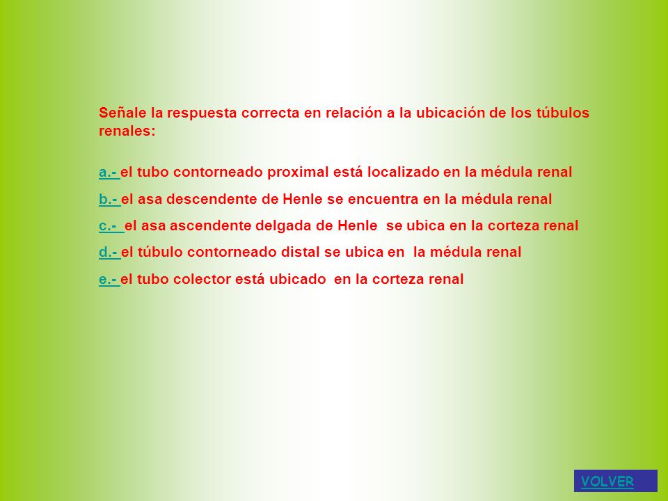 a.- el tubo contorneado proximal está localizado en la médula renal