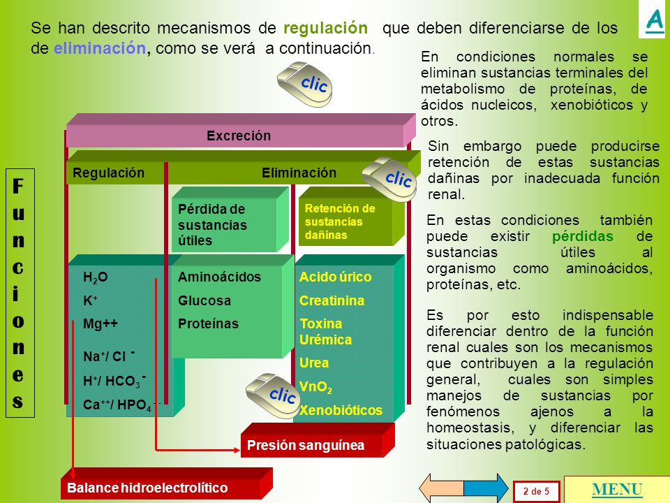 A Se han descrito mecanismos de regulación que deben diferenciarse de los de eliminación, como se verá a continuación.