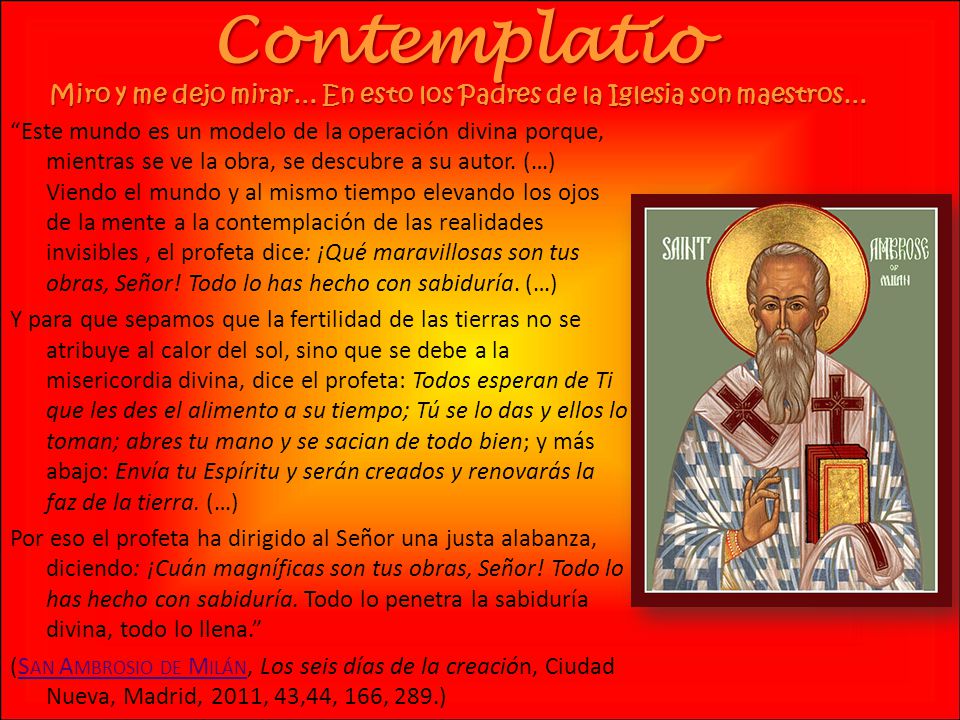 Contemplatio Miro y me dejo mirar… En esto los Padres de la Iglesia son maestros…