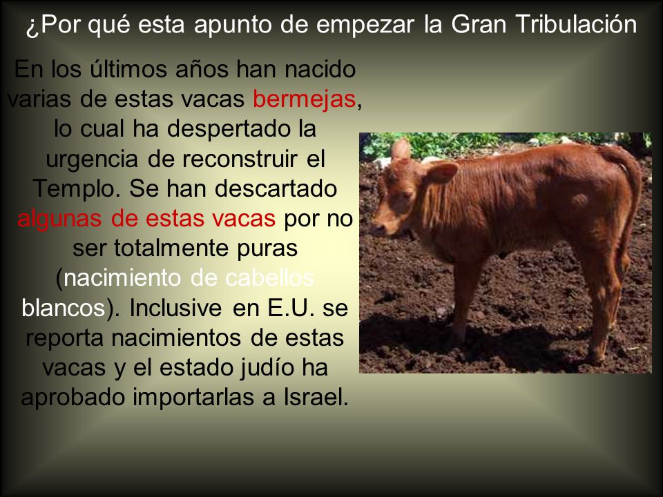 ¿Por qué esta apunto de empezar la Gran Tribulación