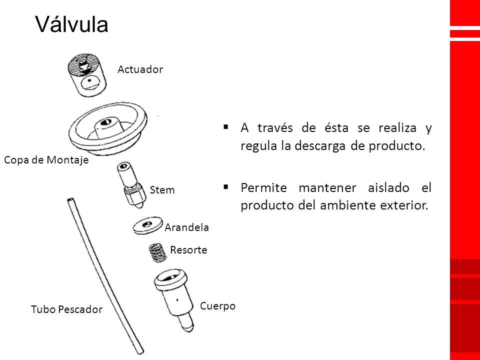 Válvula A través de ésta se realiza y regula la descarga de producto.