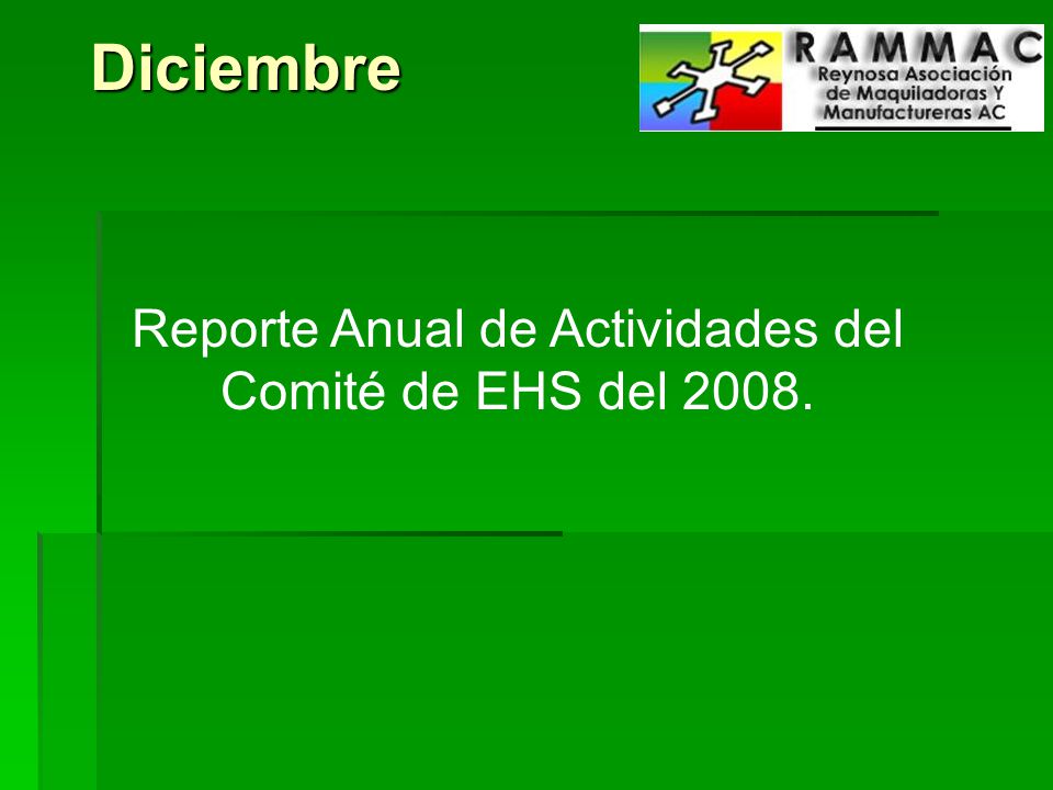Reporte Anual de Actividades del Comité de EHS del 2008.
