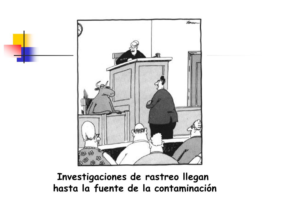 Investigaciones de rastreo llegan hasta la fuente de la contaminación