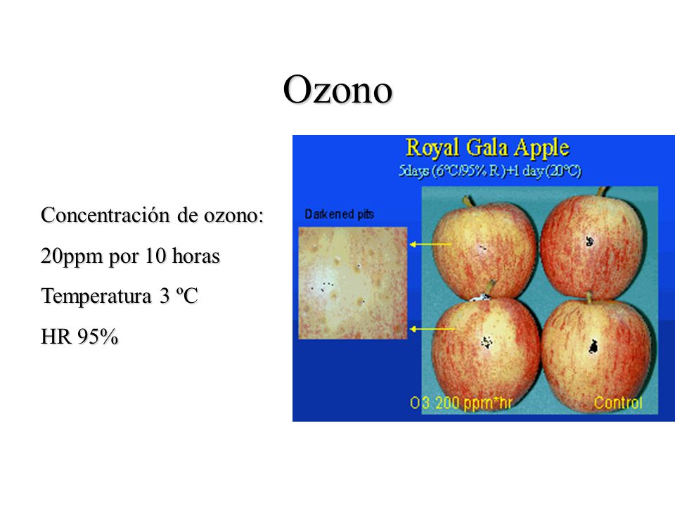 Ozono Concentración de ozono: 20ppm por 10 horas Temperatura 3 ºC