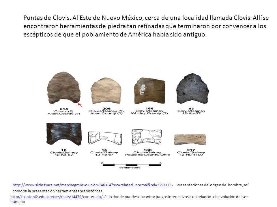 Puntas de Clovis. Al Este de Nuevo México, cerca de una localidad llamada Clovis. Allí se encontraron herramientas de piedra tan refinadas que terminaron por convencer a los escépticos de que el poblamiento de América había sido antiguo.