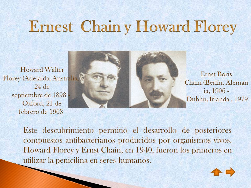 Ernest Chain y Howard Florey