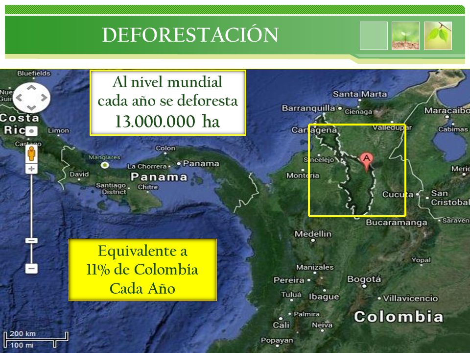 DEFORESTACIÓN ha Al nivel mundial cada año se deforesta
