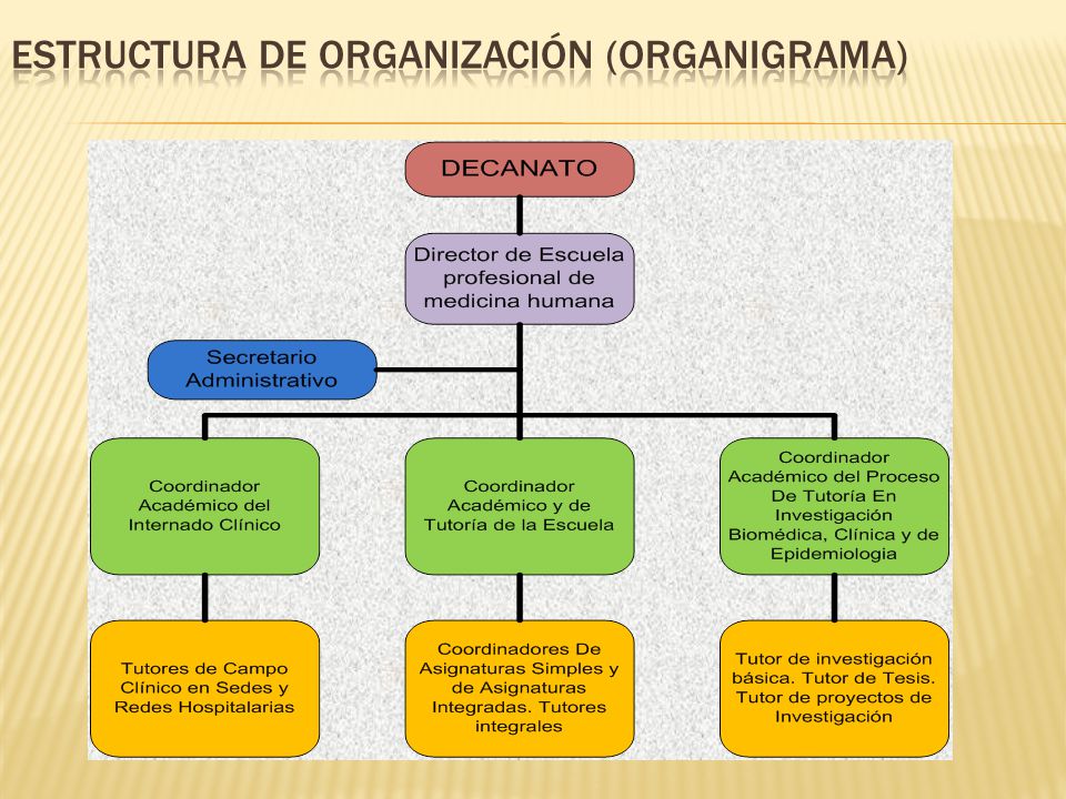 Estructura de organización (organigrama)