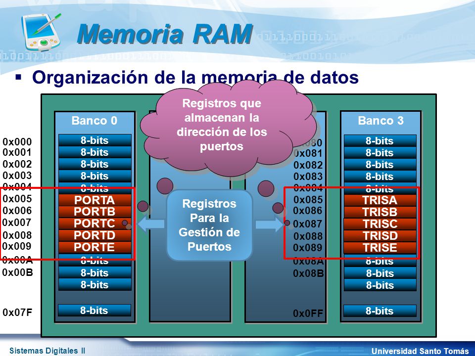 Memoria RAM Organización de la memoria de datos