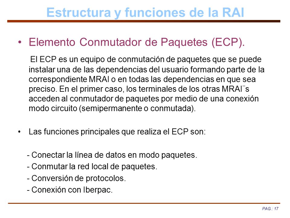 Estructura y funciones de la RAI