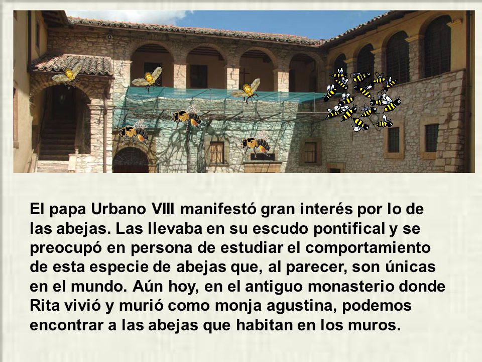 El papa Urbano VIII manifestó gran interés por lo de las abejas