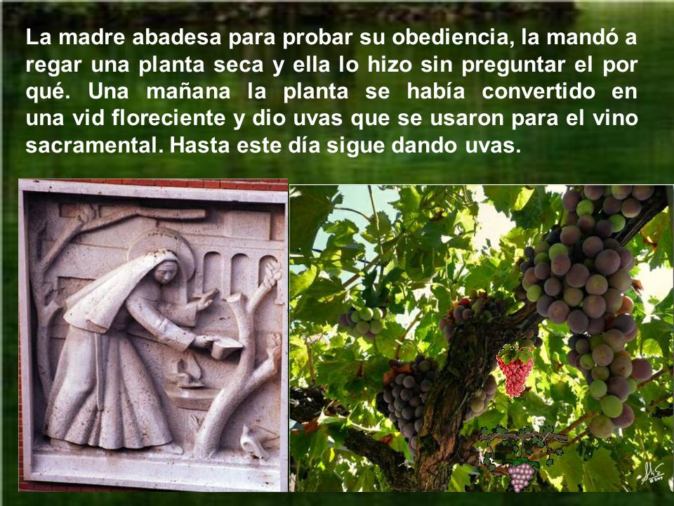 La madre abadesa para probar su obediencia, la mandó a regar una planta seca y ella lo hizo sin preguntar el por qué.
