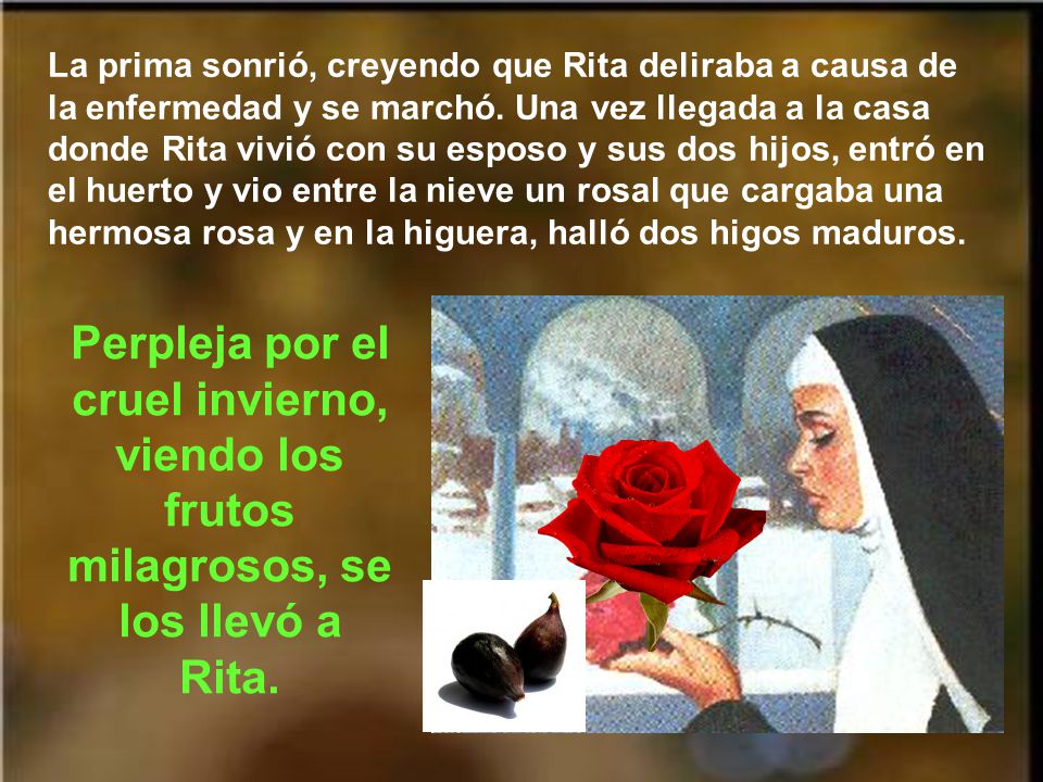 La prima sonrió, creyendo que Rita deliraba a causa de la enfermedad y se marchó. Una vez llegada a la casa donde Rita vivió con su esposo y sus dos hijos, entró en el huerto y vio entre la nieve un rosal que cargaba una hermosa rosa y en la higuera, halló dos higos maduros.