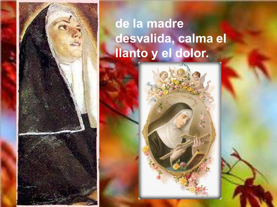 de la madre desvalida, calma el llanto y el dolor.